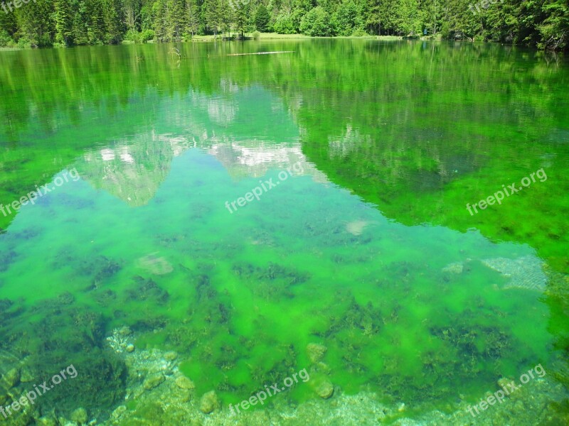 Alpine Lake Green Fish Landscape Nature