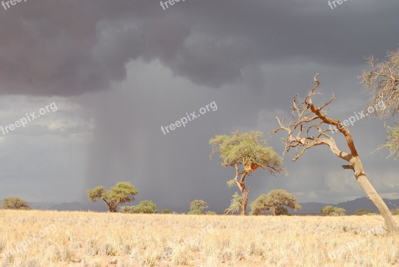 Desert Rain Rain Cloud Mood Free Photos