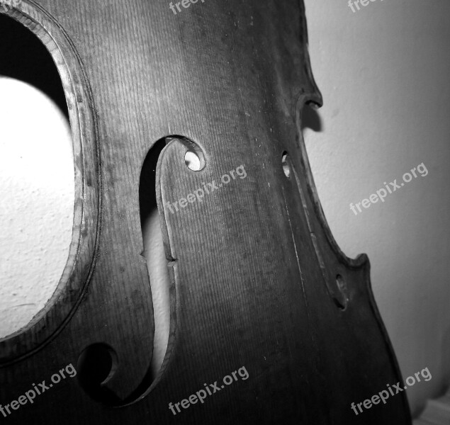 Violin Wood Effe Luthier Free Photos