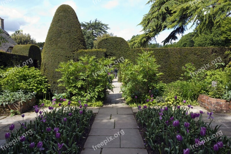 Hidcote Manor Arts And Crafts Garden Stone Paving Yew Topiary Purple Tulips