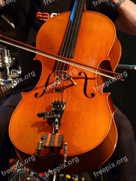 Cello Strings Instrument Arch Stringed Instrument