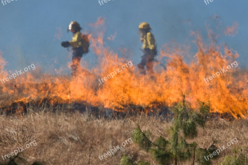 Firefighter Wildfire Grass Fire Burn Flame