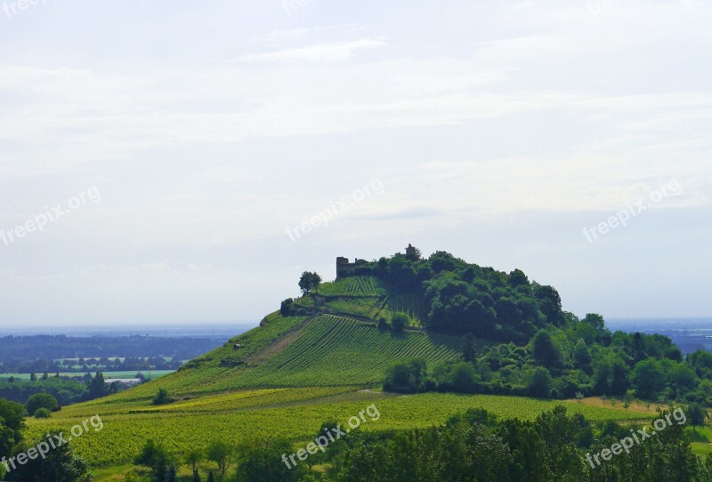 Vineyard Hill Winegrowing Baden Württemberg Landscape