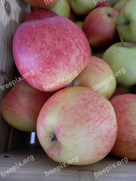 Apple Fruit Fruits Apple Crate Nature