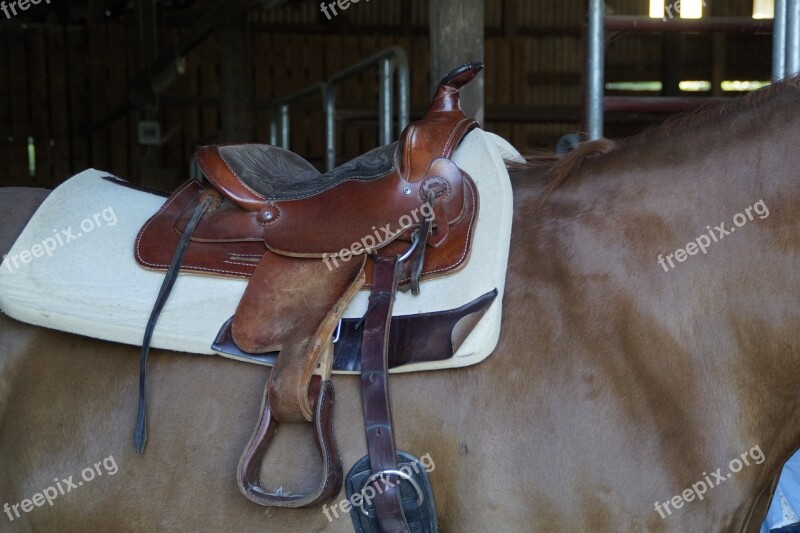 Saddle Western Saddle Saddled Horse Ride