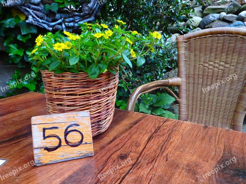 Flower Table Flower Pot Yellow Flowers Spring