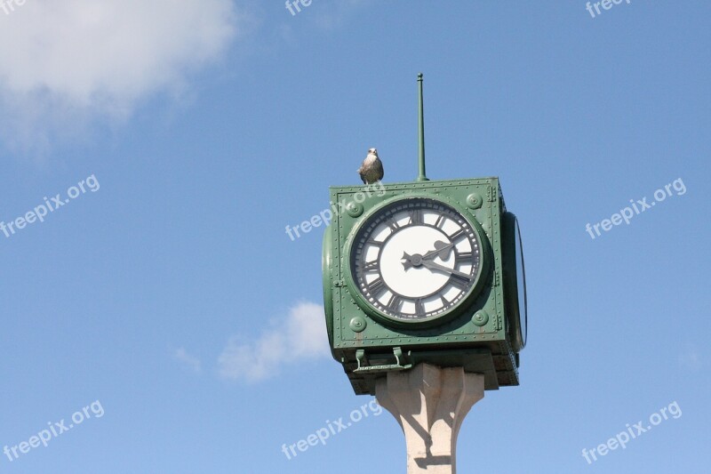 Clock Seabird Sky Free Photos