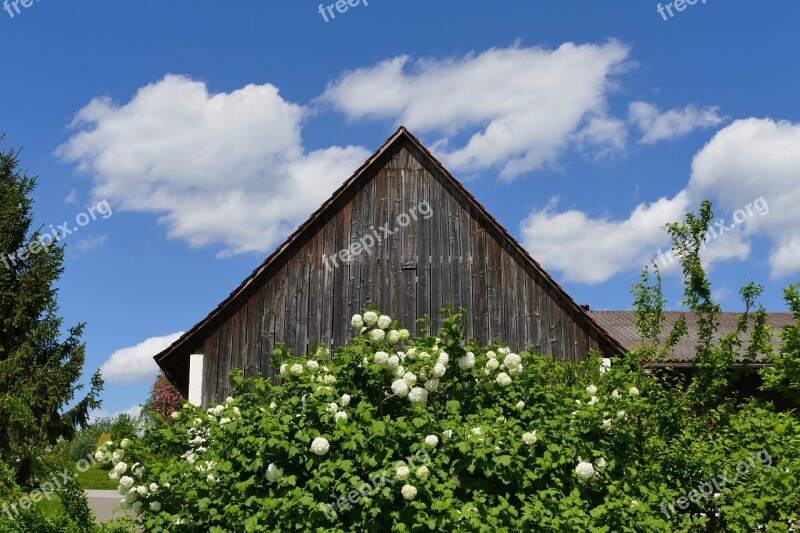 Hut Flowers Beautiful Green Landscape