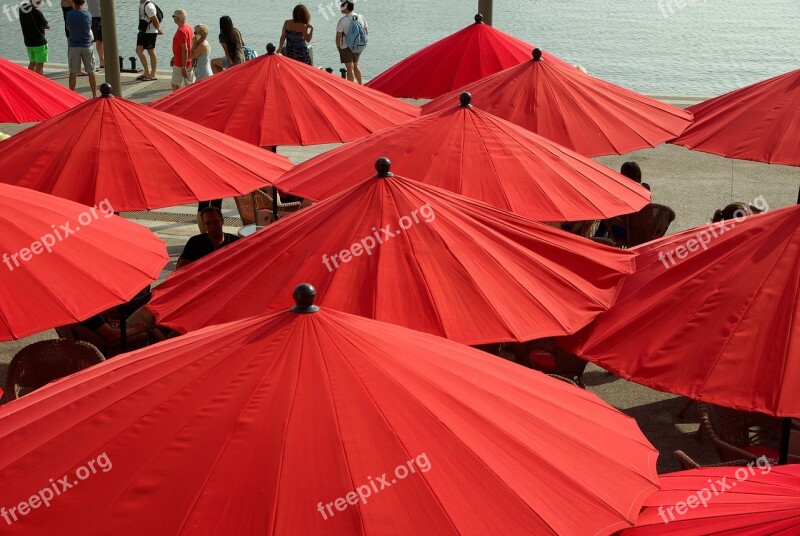 Terrace Parasols Umbrella Shadow Free Photos