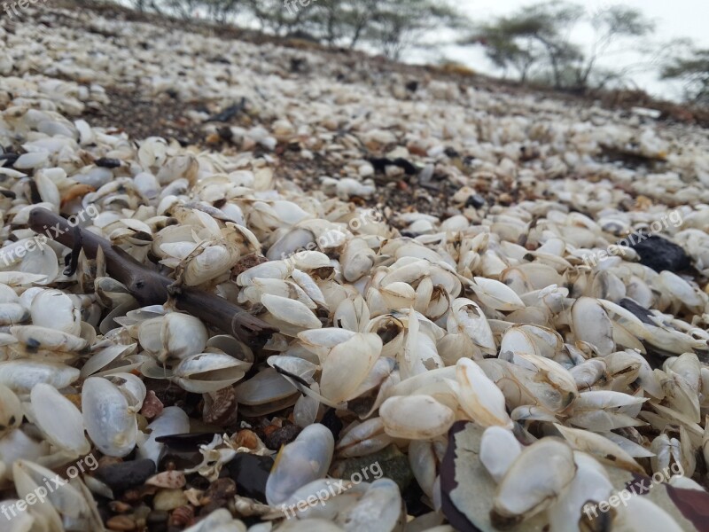 Dead Sea Salt Water Nature