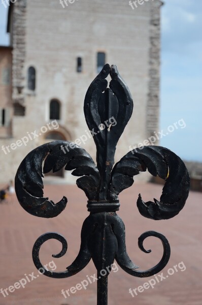 Gubbio Lily Iron Beat Nero