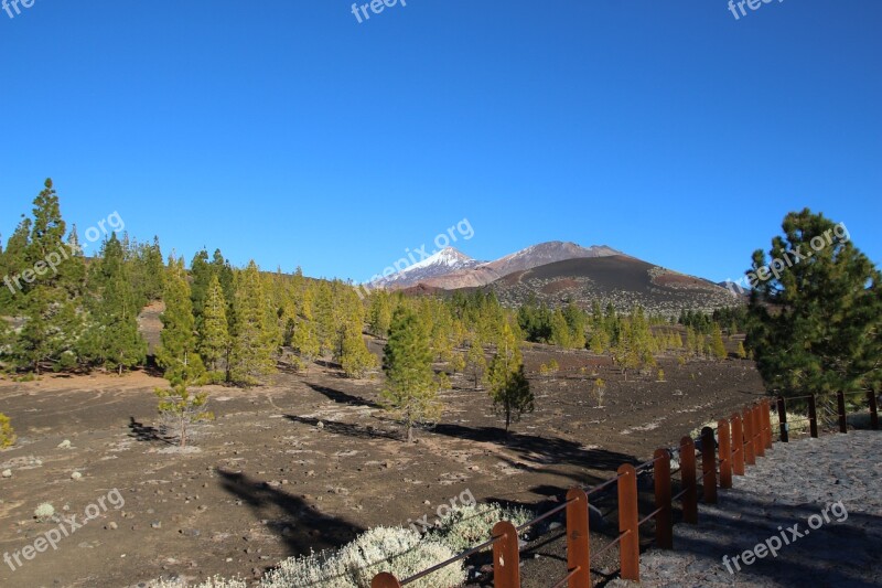 Tenerife Teide Volcano Canary Islands Nature