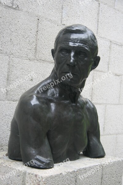 Art Bust Man Black White