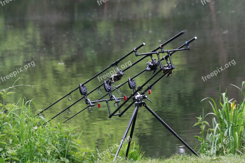 Fishing Rods Pond Green Water Holidays