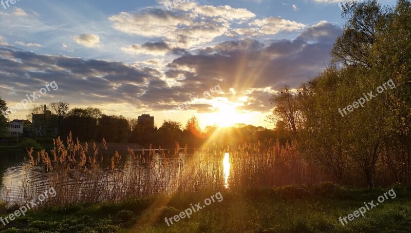 Lake Reeds The Sun Sunset Beach