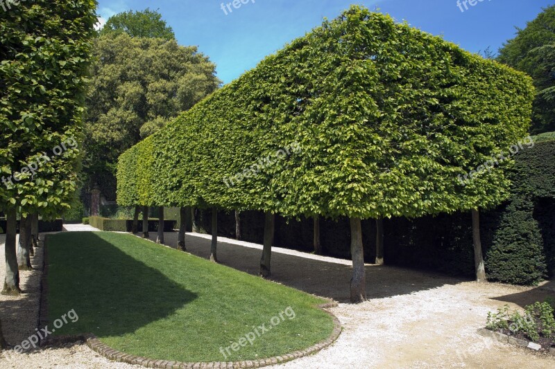 Hidcote Manor Garden Pleached Hornbeam Trees Box Form Brick Edged Lawn Blue Sky