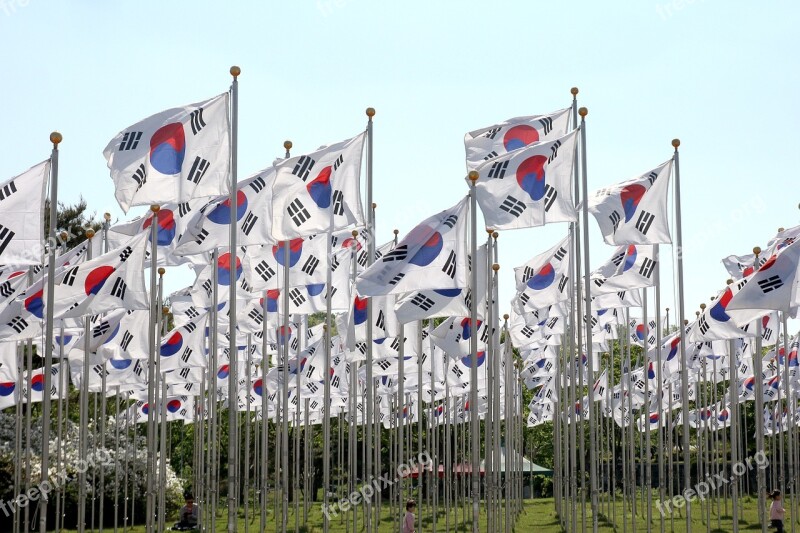 Korean Flags Flags Field Korean Patriotic