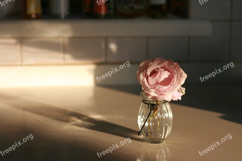 Roses Flowers Vase Free Photos