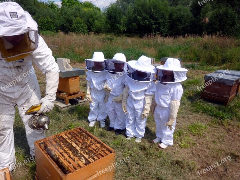 Beekeeping Course Learn Free Photos