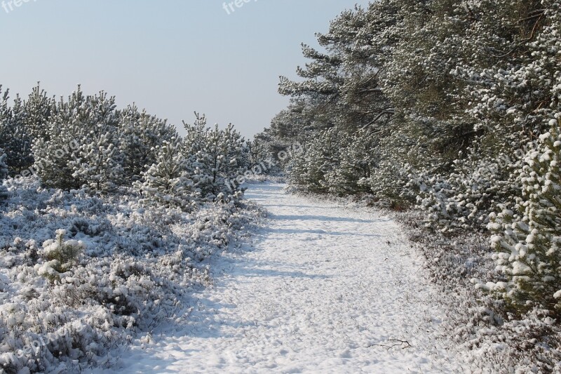 Snow The Path Free Photos