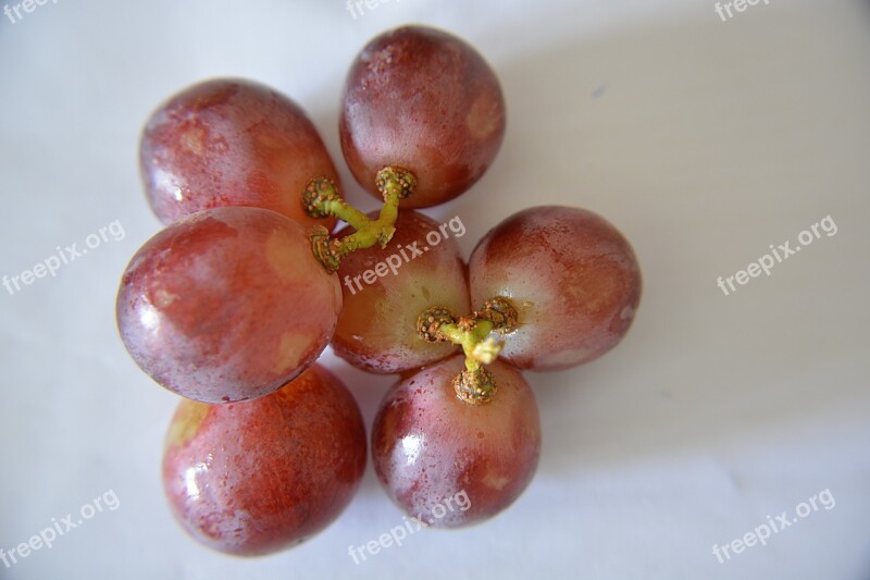 Grapes Grains Fruit Vine Nature