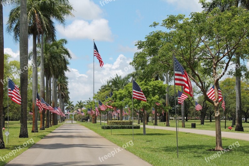 Memorial Day Flags Memorial Patriotic Freedom