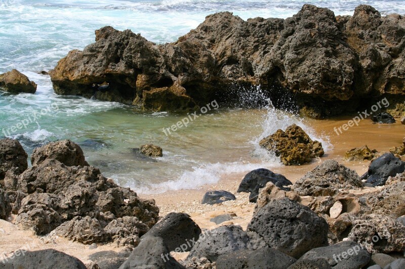 Tide Pool Shallow Water Ocean