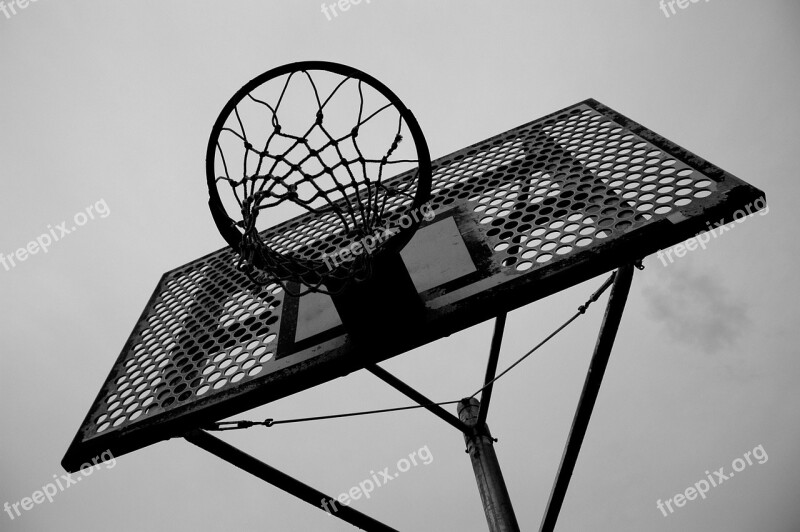 Basketball Sports Black And White Free Photos