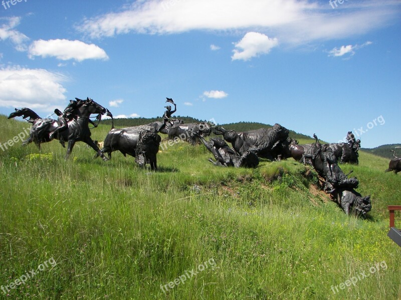 Tatonka Buffalo Indians South Dakota Bison