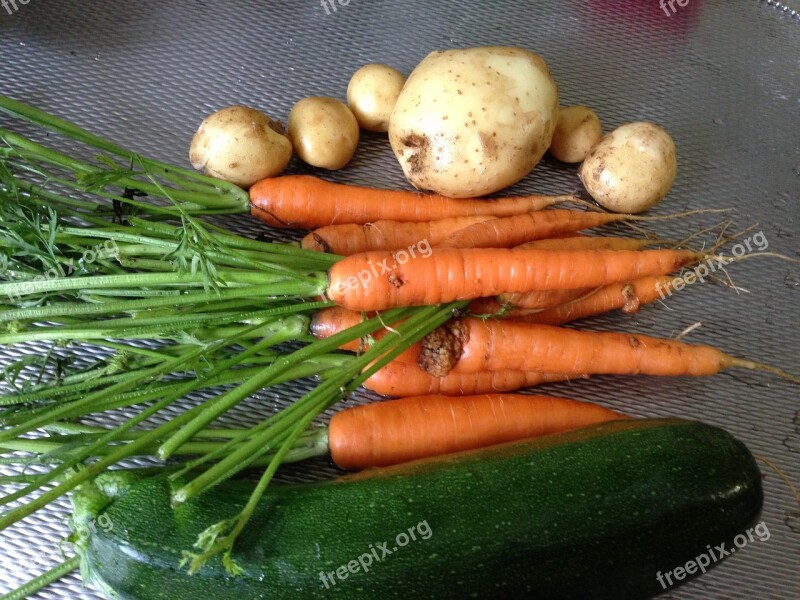 Carrots Potatoes Kitchen Garden School Garden Free Photos