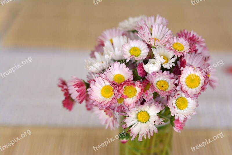 Bouquet Daisies Flowers Decoration The Delicacy