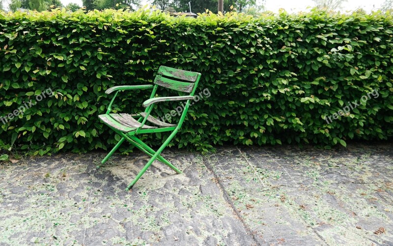 Chair Garden Green Hedge Shrubs