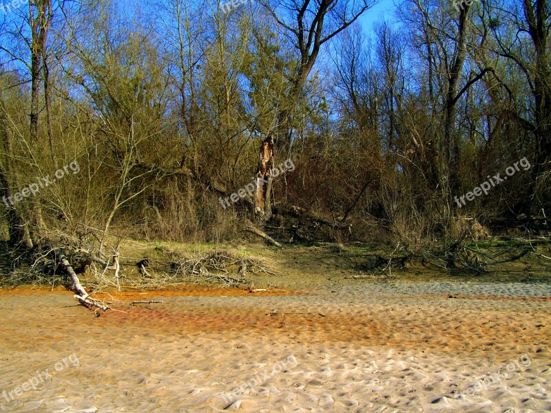 Untouched Nature Drava Sandy Beach Free Photos