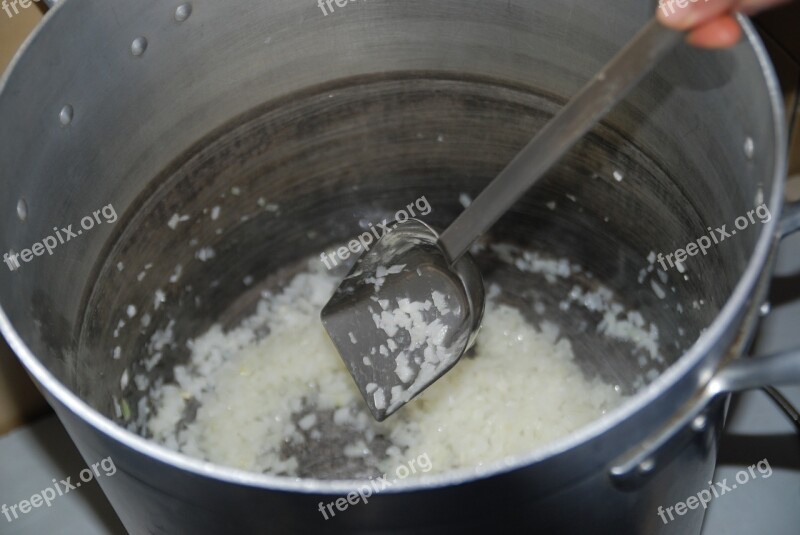 Cook Cooking Onions Fry Preparation