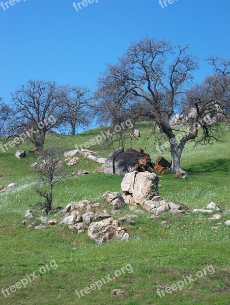 Foothills Oak Trees Rocks Free Photos