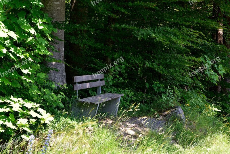 Bench Bank Wooden Bench Nature Rest