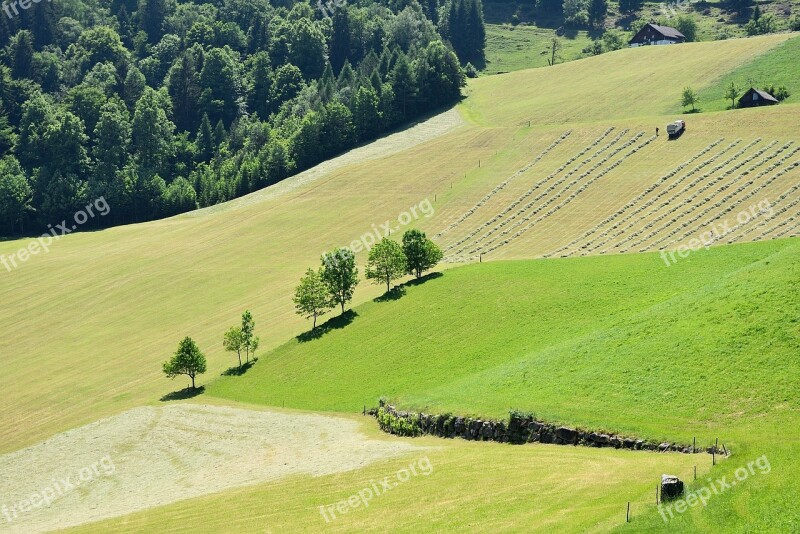 Landscape Reported Hay Green Nature