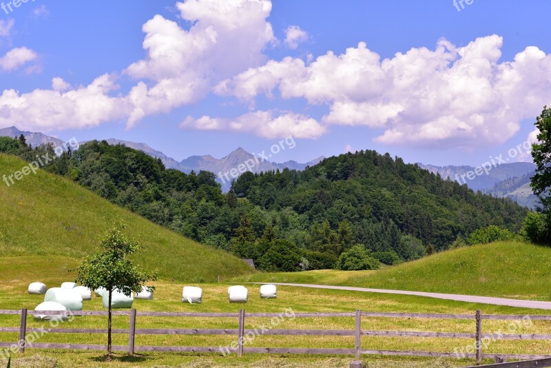 Landscape Reported Forests Mountains Sky