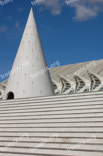 Calatrava Valencia Architecture Museum Spain