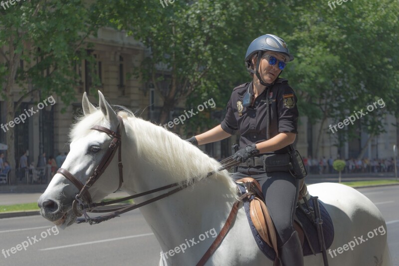 Police Horse Mount Equine Horse Riding