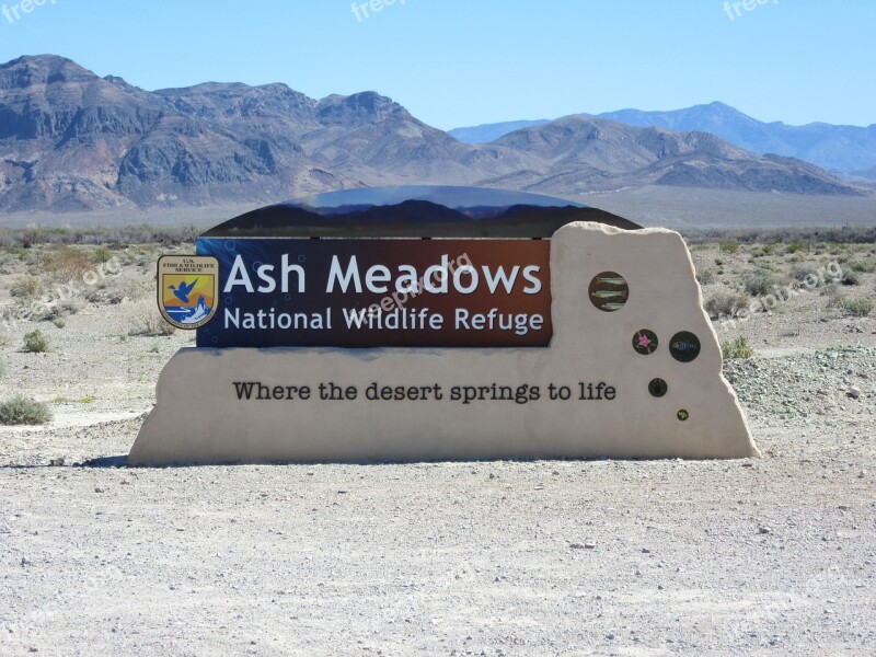 Ash Meadows Dessert Wildlife Las Vegas Nevada