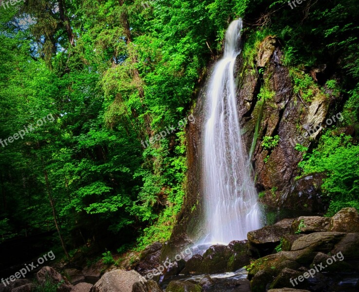 Landscape Water Waterfall Nature Trees