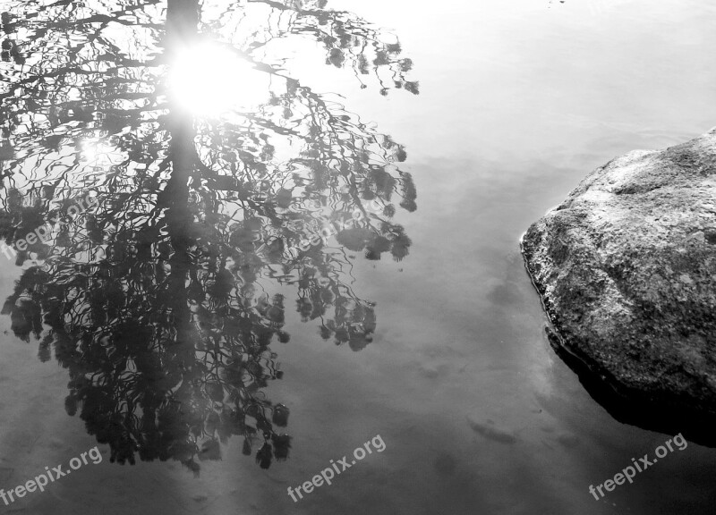 Lake Reflection Tree Rock Pyrenees