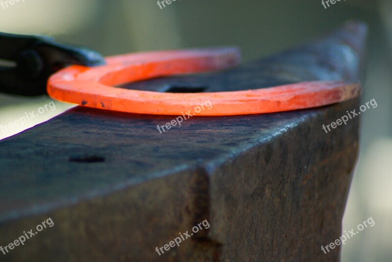 Blacksmith Horseshoe Anvil Free Photos