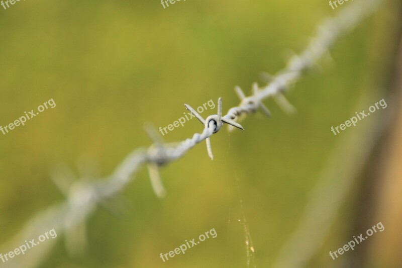 Barbed Wire Barb Wire Fence Barbed