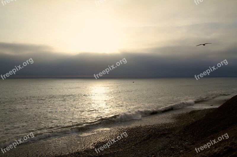 Sea Water Beach Pacific Ocean