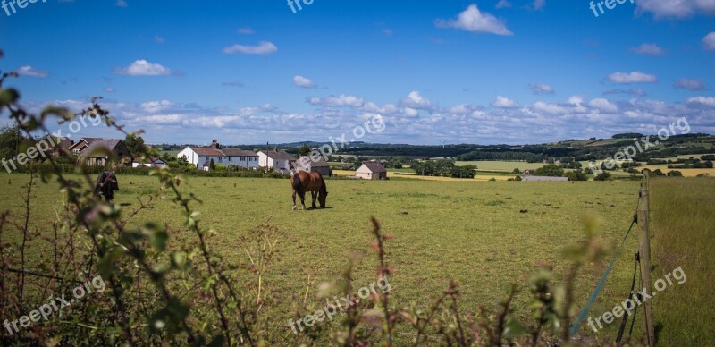 Farm Land Horse Clouds Blue Summer