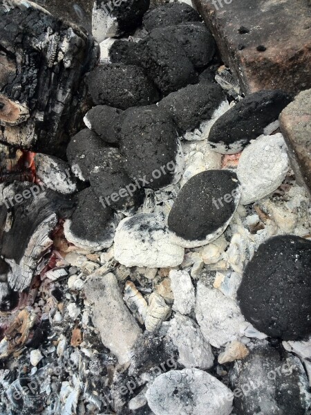 Charcoal Coal Fire Bbq Food