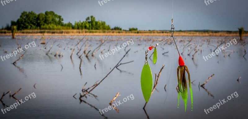 Spinner Bait Fishing Lure Fishing Delta Joca Lake