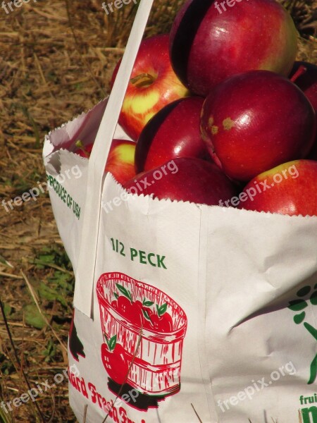 Apples Fruit Food Red Fresh